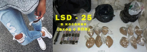индика Сафоново