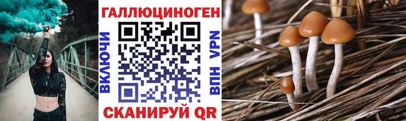 Псилоцибиновые грибы ЛСД  Купить закладки  Краснотурьинск 